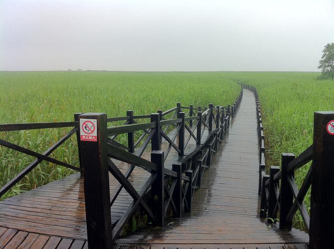 崇明西沙湿地公园_崇明西沙湿地公园预约