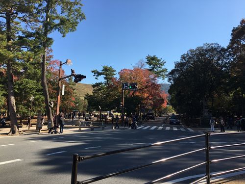 大阪天气_大阪天气30天