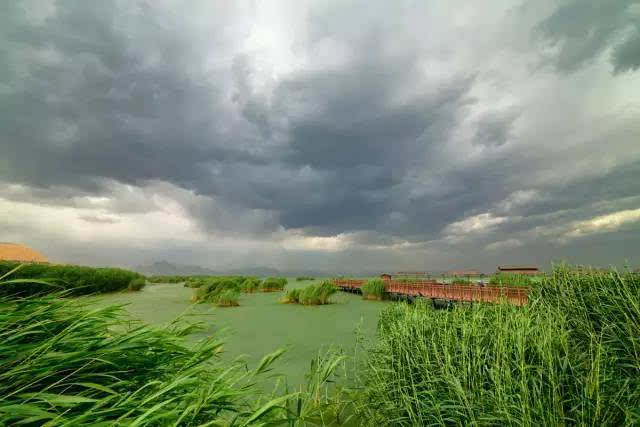 沙湖_沙湖道中遇雨